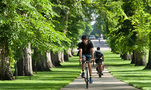 Photograph of two men riding opposite directions on campus bike path while sunlight streams between trees.