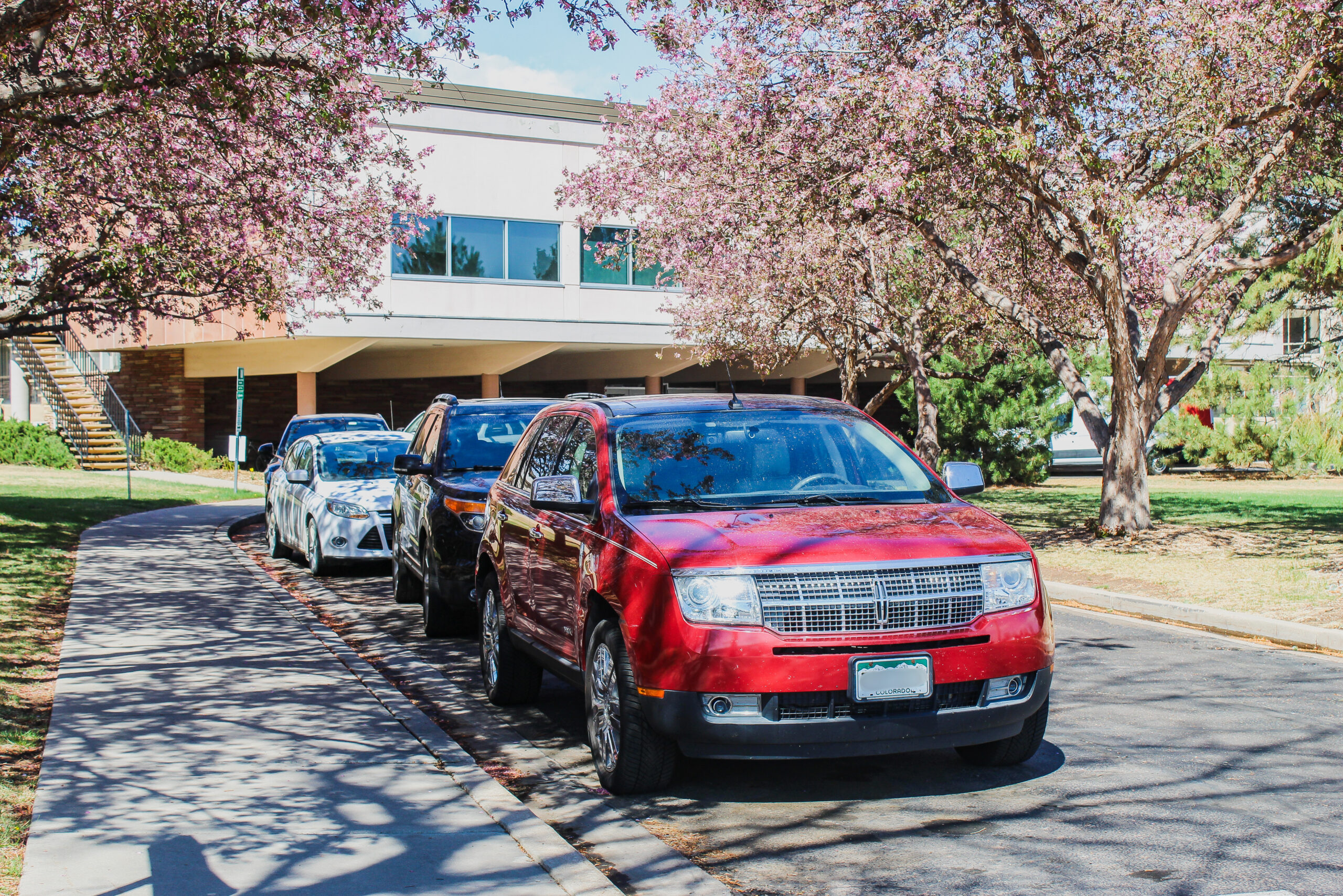 Parked cars in front of dorm building and pink flower trees, front side.